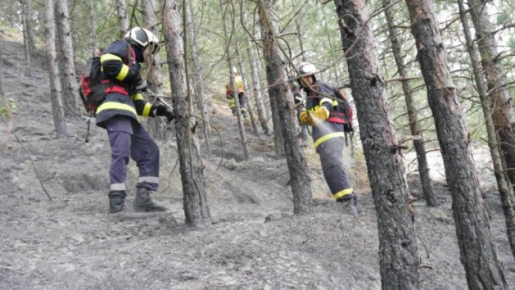 20 са пожарите в горите във Варненско за година