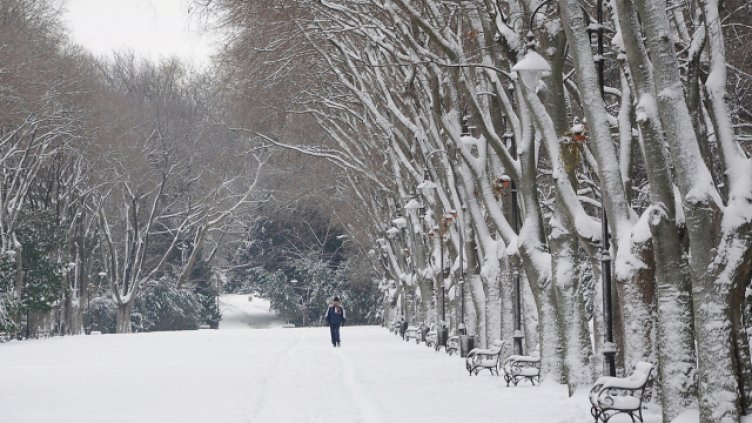 Снимка ПЛАМЕН ГУТИНОВ, архив