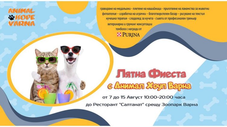 Акция: Събират пари за кастриране и осиновяване на животни във Варна