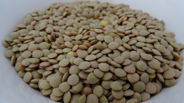 Пакети със 7 основни храни в помощ на бедните