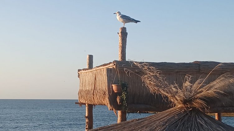Какво ще бъде времето в сряда?