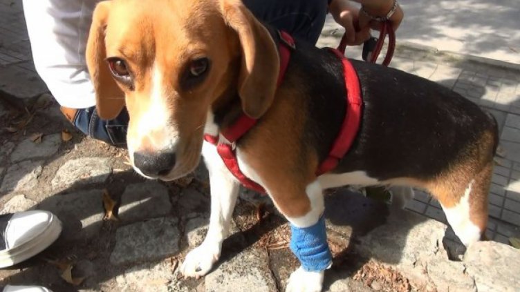 Снимка Dnes.bg