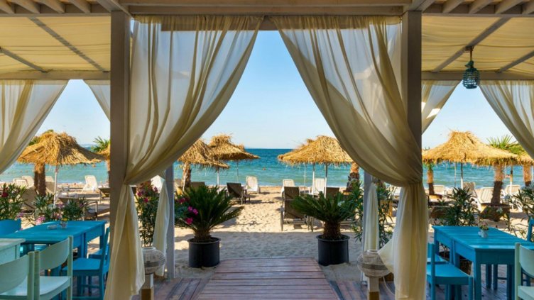 Хвалят сезона като най-добрия за България