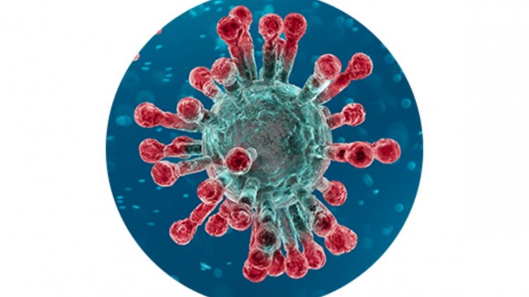 Продължава имунизационната кампания в ромските махали във Варна