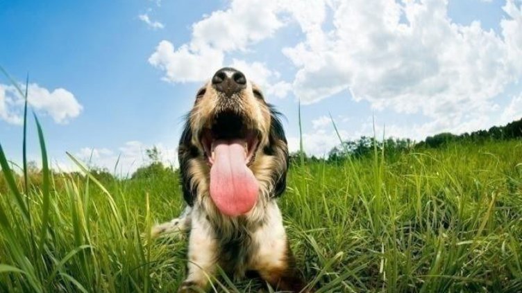 Слънчево и до 34 градуса днес