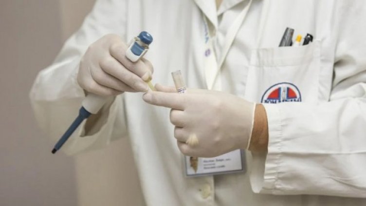 Легализират употребата на марихуана за медицински цели в Албания
