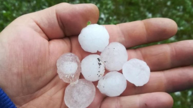 Градушка с големина на орех удари шуменско село