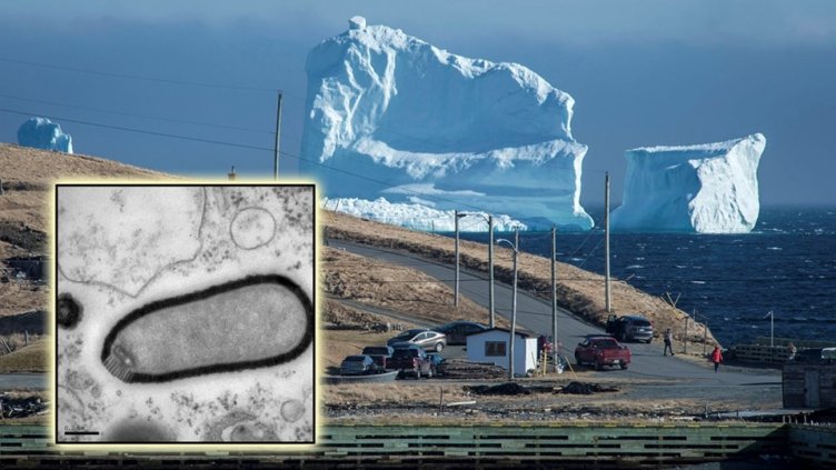 Топенето на Арктика отваря кутията на Пандора