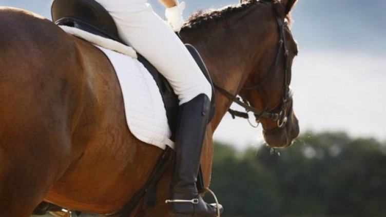 Ремонтират с над три млн. лв. Конна база Виница-Юг