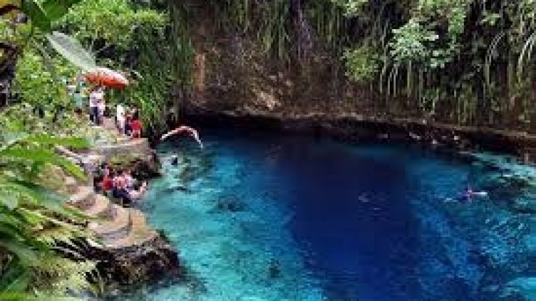 Виц на деня - 19 ноември