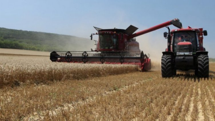 Започна жътвата в Бълагия