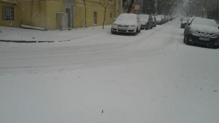 60-годишна пешеходка в болница след катастрофа във Варна