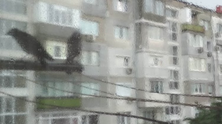 Дъждовно начало на новата седмица във Варна и по морето