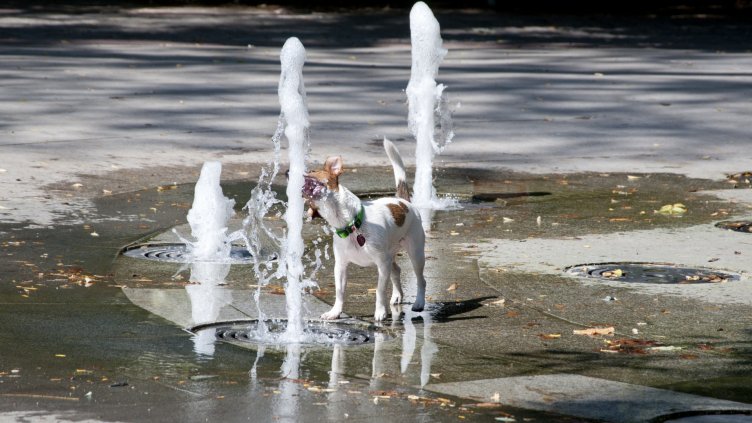 Снимки: Ели Маринова