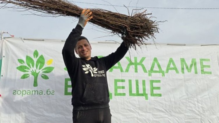 Подаряват 30 000 дръвчета за засаждане на варненци