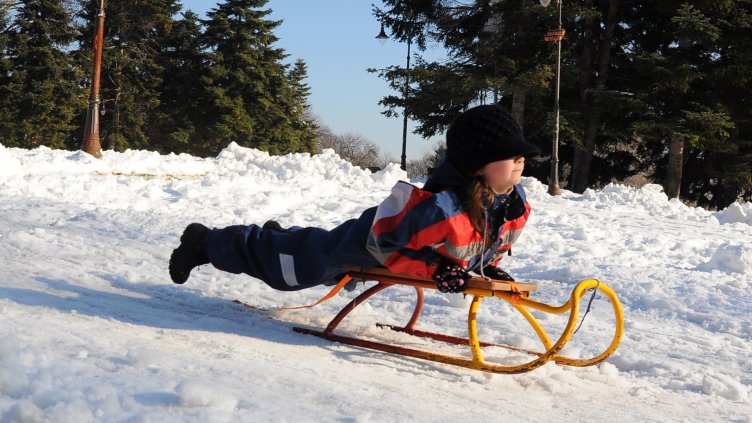 Снимка Пламен Гутинов