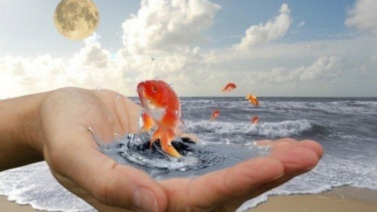 6 ритуала за сбъднати мечти