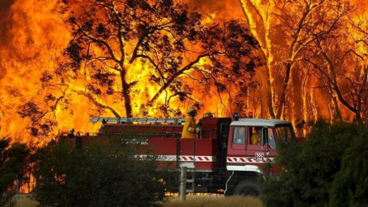 Във Варненско има готовност за овладяване на горските пожари
