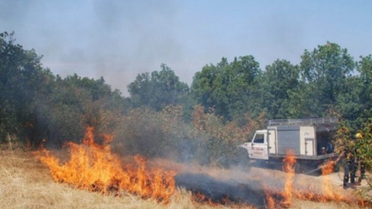 Отново пожар в Странджа