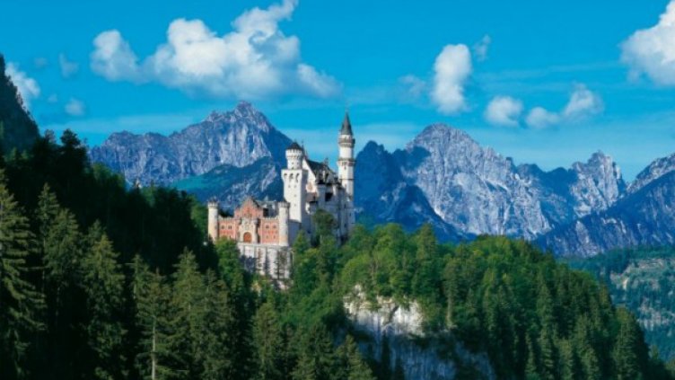 Градините са по проект на Карл фон Ефнер - по английски модел. Терасите заемат около 50 хектара. Склонът с водни каскади е с 30 мраморни стъпала, завършващ с фонтана на Нептун. На високото е и храмът на Венера.