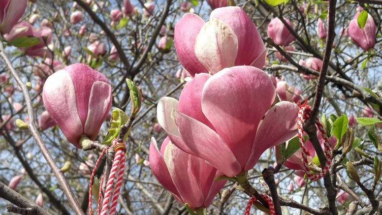 Първа пролет идва с дъжд и сняг