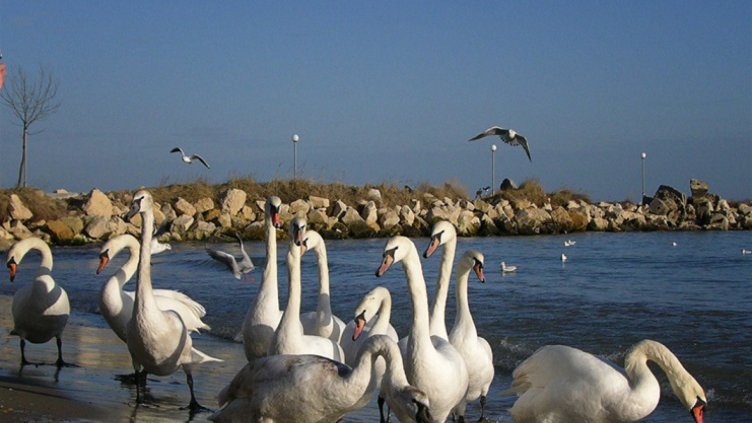 Очаква ни слънчев и топъл февруари 