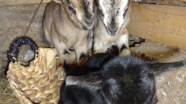 Снимка: Live.Varna