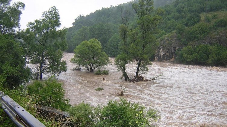 Трагедия: Баща и син се удавиха в река Вит