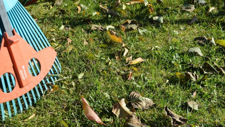 Започна работа първото Социално предприятие 