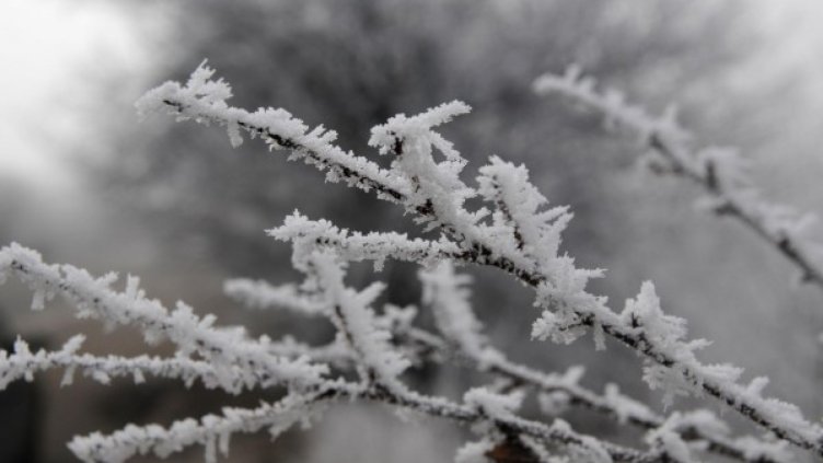 Във Враца утре е неучебен ден