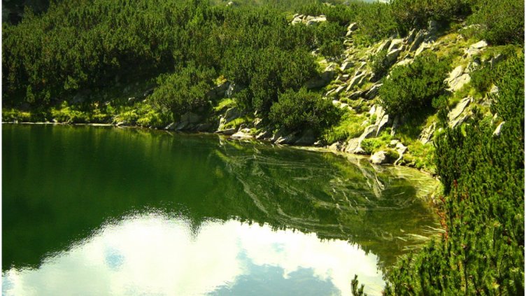 Снимки: Ели Маринова