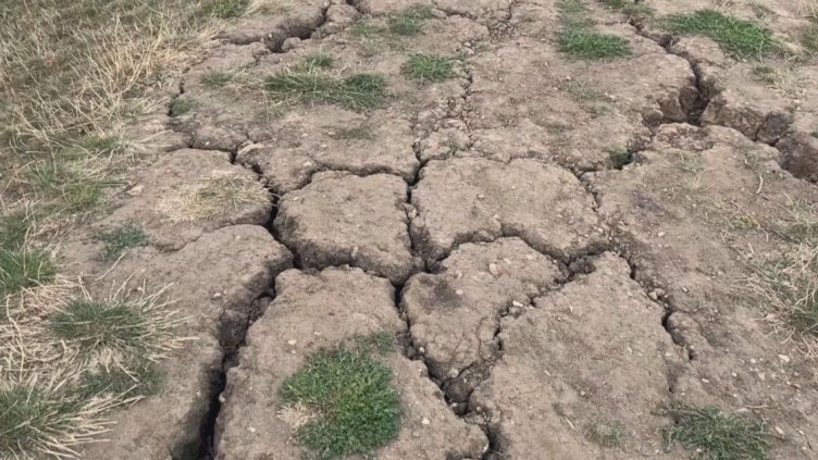 Климатолог: Европа страда от невиждана суша