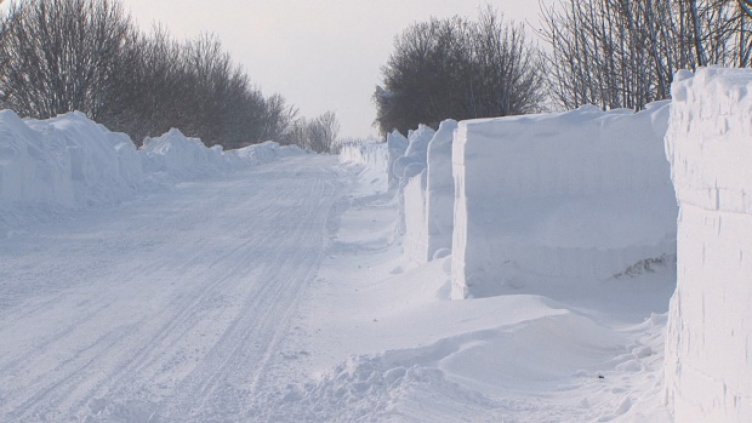 Снимка Дарик