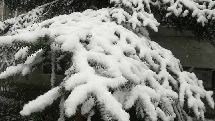 Виц на деня - 28 октомври