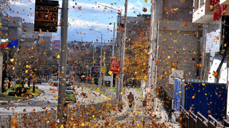 Снимка: Пламен Гутинов, архив