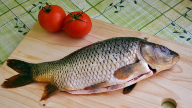 Виц на деня 17 май