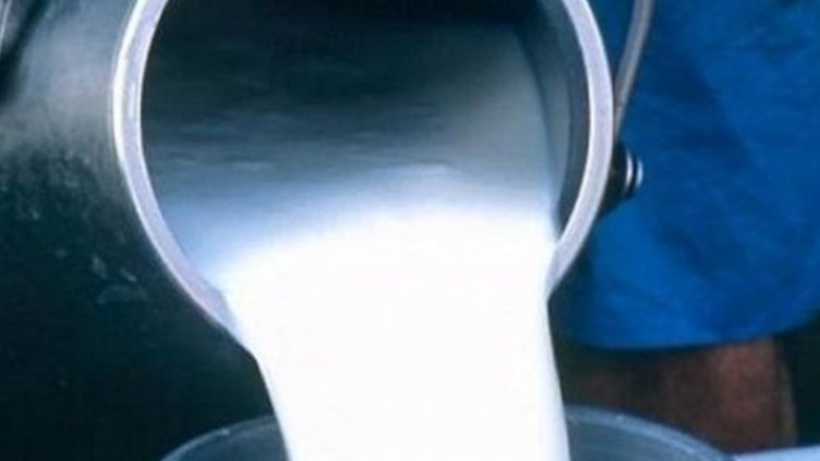 Производството на сурово мляко у нас е намаляло с 10%