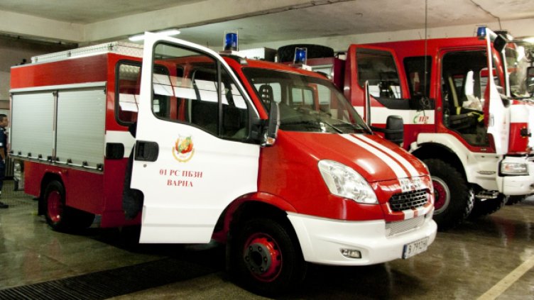 Гнездо на змии вдигна пожарникарите на Смолян под тревога