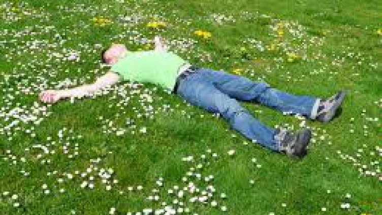 Над 40 са ухапаните от кърлежи във Варна за седмица