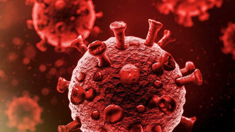 Съставиха 56 протокола за нарушения на ковид мерките във Варна