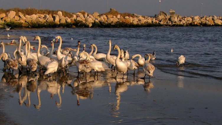 Слънцето се показва в събота, температурите остават ниски