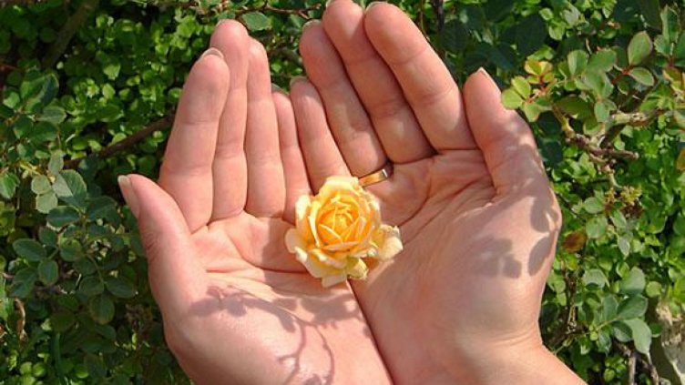 Деца събраха над 1000 лева за лечението на болен приятел