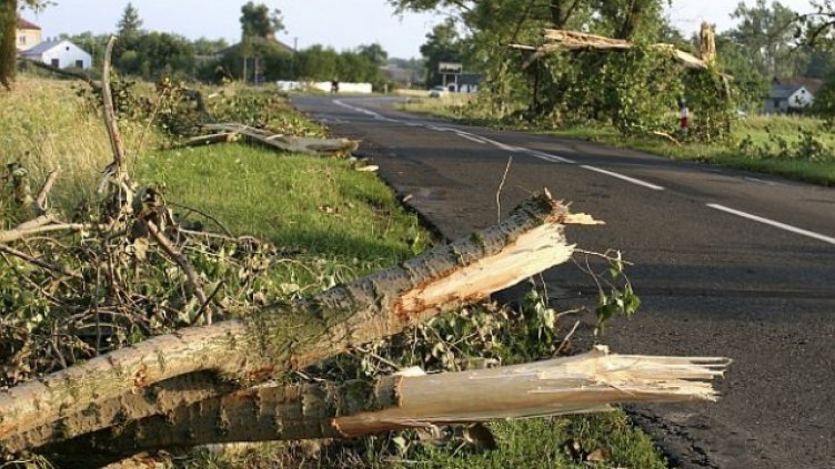 Над 30 сигнала заради силния вятър във Варна