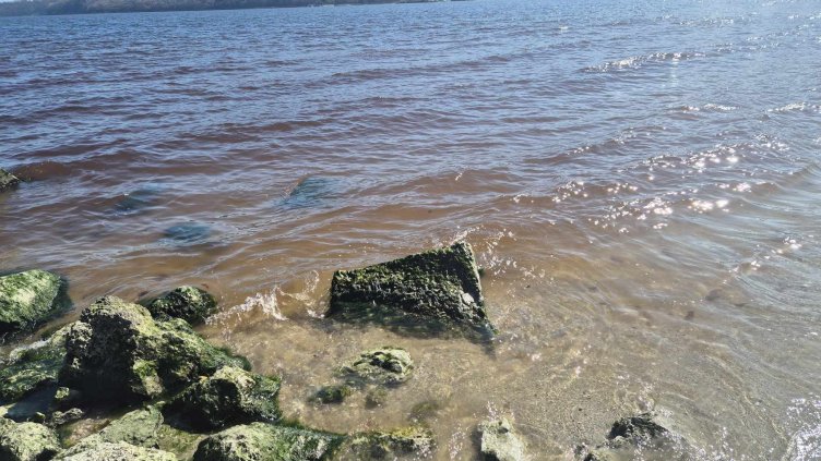 Обявиха причината за кафявата вода в Аспарухово