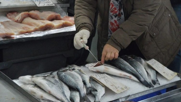 Рибата - колкото полезна толкова и вредна