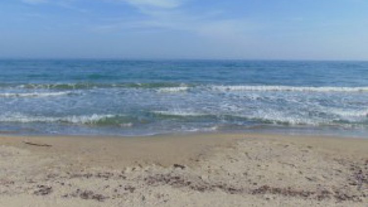 Министерството на туризма направи проверка на плаж в Шкорпиловци след сигнал