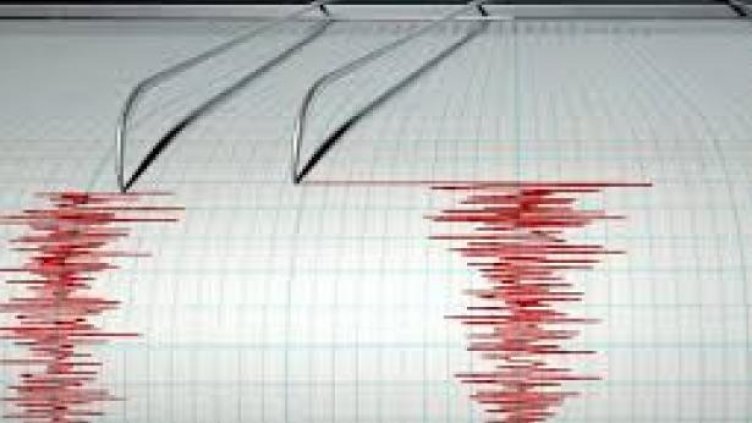 7.2 по Рихтер разтърси Япония