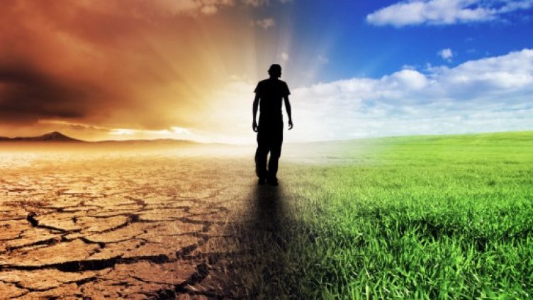 14% от бозайниците и 27% от птиците могат да изчезнат през следващите 15 г.