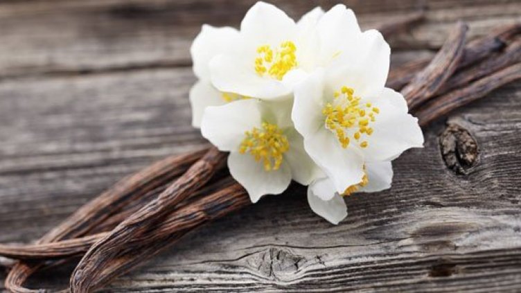 Хората са използвали ванилия преди повече от 3500 години