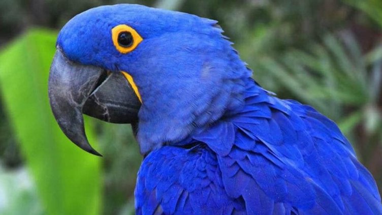 Виц на деня - 30 октомври